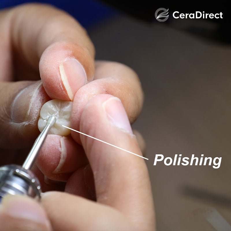 Understanding Dental Restoration Materials - CeraDirect