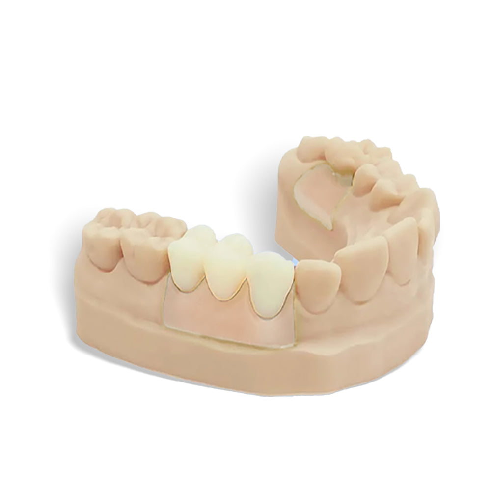 3D Printer Permanent CROWN Resin(500g)