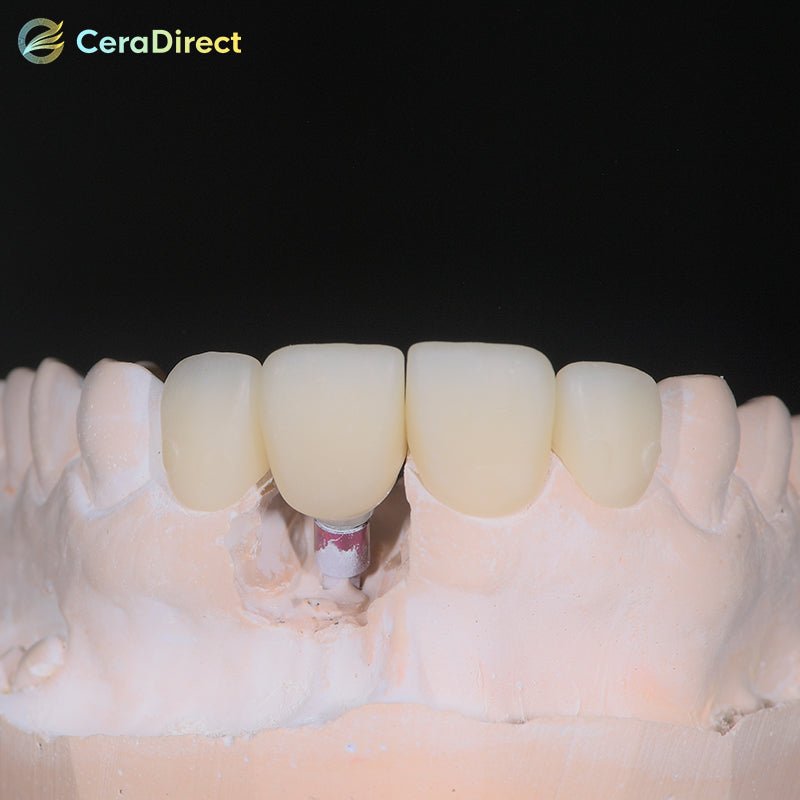 SHT+Color — Pre-shaded Zirconia Disc Zirkonzahn System (95mm) - CeraDirect