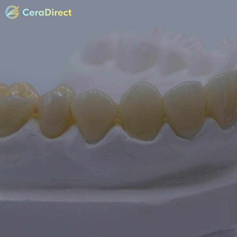 SHT+Multilayer—Multilayer Zirconia Disc Open System (98mm) - CeraDirect